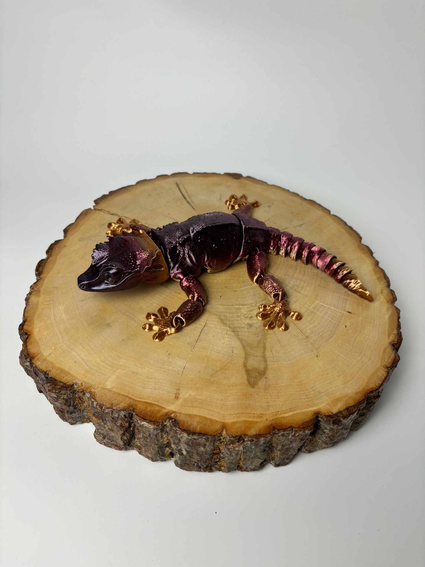 Large Crested Gecko